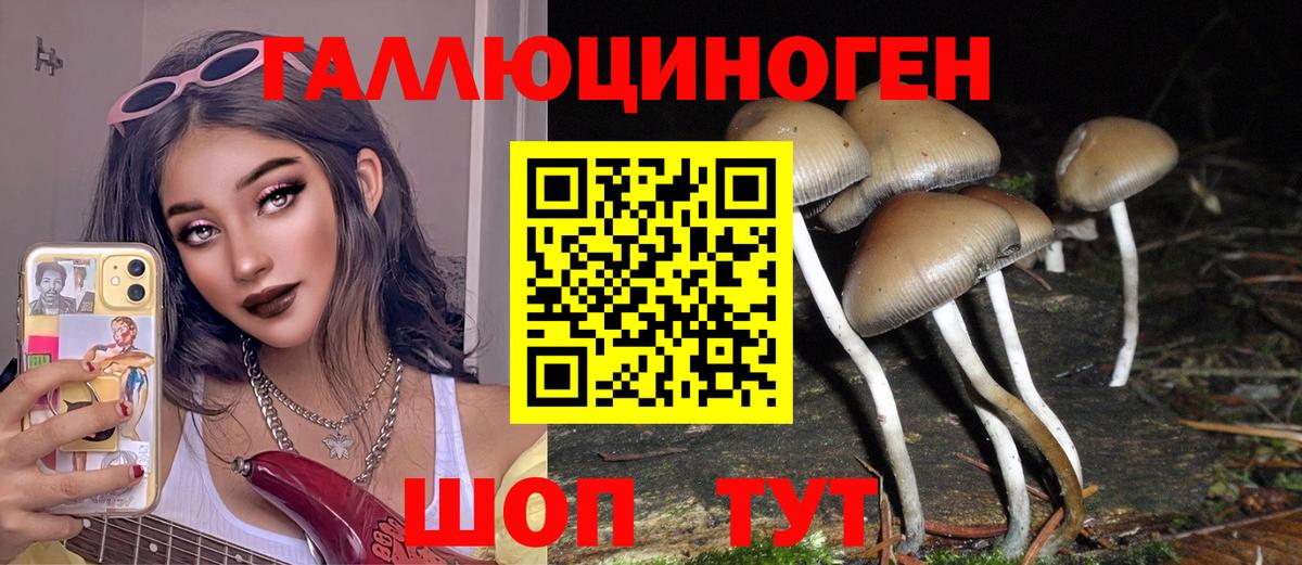 Галлюциногенные грибы Psilocybe Назарово